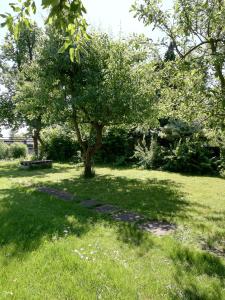 hostel mamas and papas