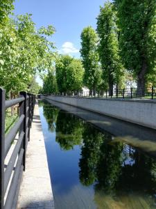 hostel mamas and papas