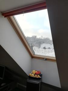 hostel mamas and papas