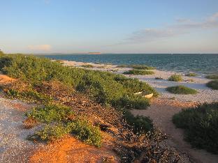 heritage resort shark bay