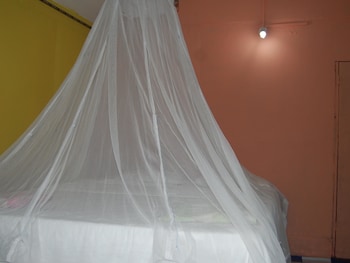 Camp San Francisco,Canacona>>Agonda,2.5 star