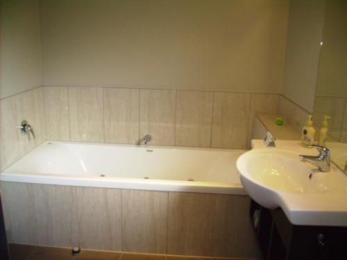 albert court motor lodge