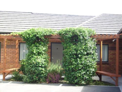 albert court motor lodge