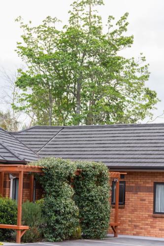 albert court motor lodge