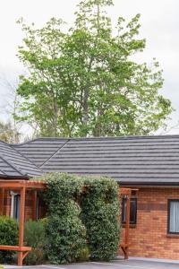 albert court motor lodge