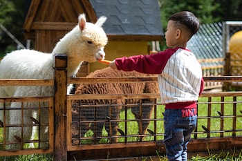 crowne plaza resort changbaishan hot spring by ihg