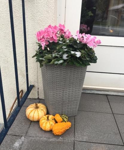 Aurora Bed & Breakfast,Osterlen>>Simrishamn,3 star