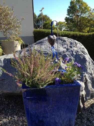 Aurora Bed & Breakfast,Osterlen>>Simrishamn,3 star