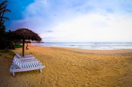 mothers place nimala