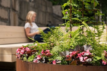stf vandrarhem stigbergsliden hostel