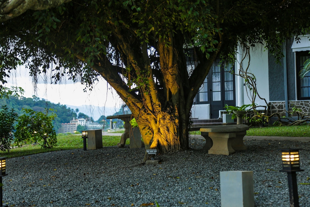 castle hill bungalow