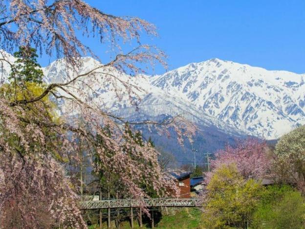 hakuba