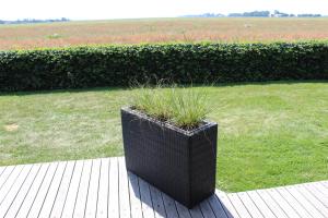 Bed & Breakfast Rheiderland,Ditzumerverlaat>>Bunde,3 star