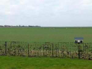 bed and breakfast rheiderland