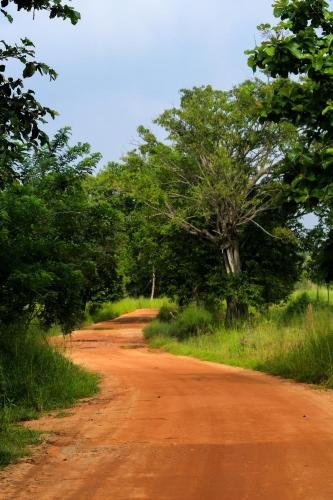 sigiriya