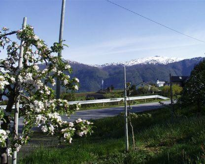 sognefjord guesthotel
