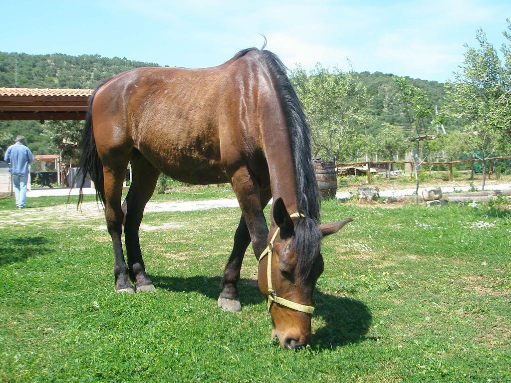 i sapori del gargano