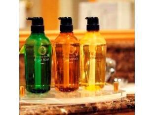 hotel plaza kachigawa