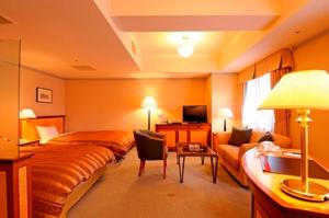 hotel plaza kachigawa