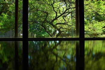 ikuji onsen tanakaya