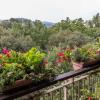 bandb la terrazza sul po
