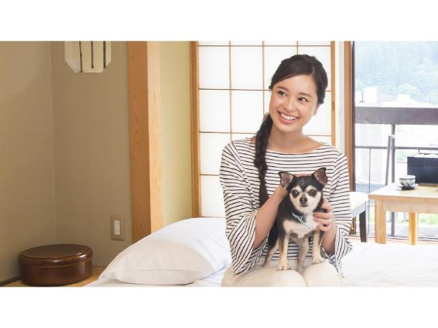 gero koyokan annex wanpakutei