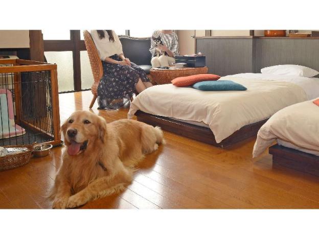 gero koyokan annex wanpakutei