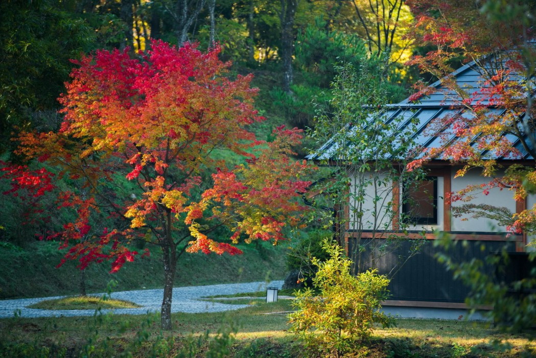 miyama sanso