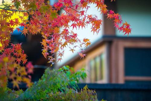 miyama sanso