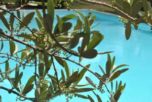 barberino tavarnelle