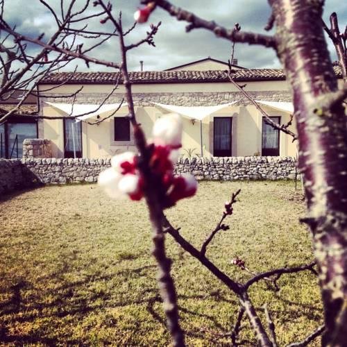 mastro vanni urban masseria