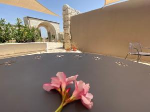 mastro vanni urban masseria