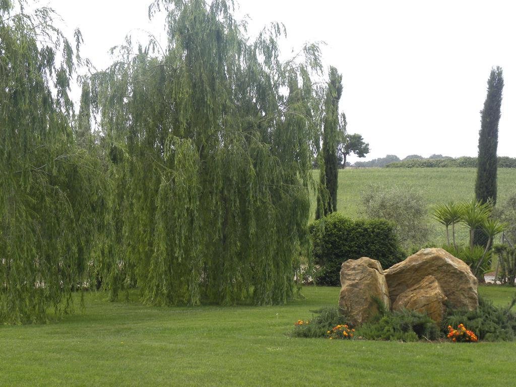 agriturismo ghiaccio bosco