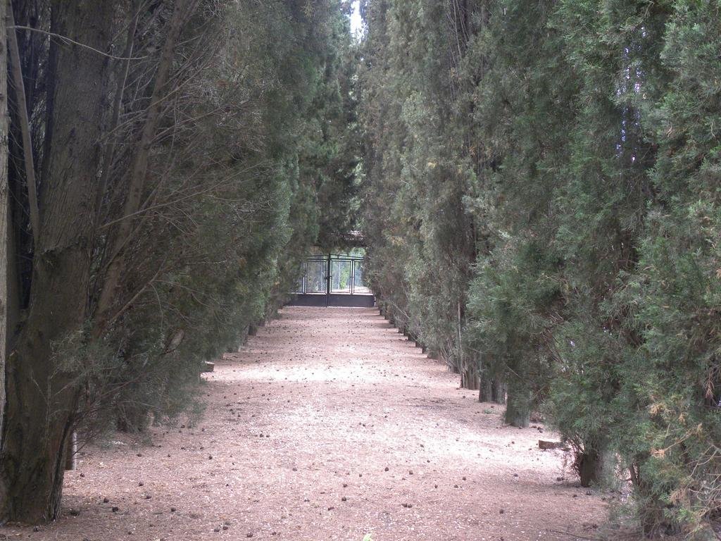 agriturismo ghiaccio bosco