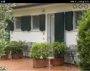 agriturismo ghiaccio bosco