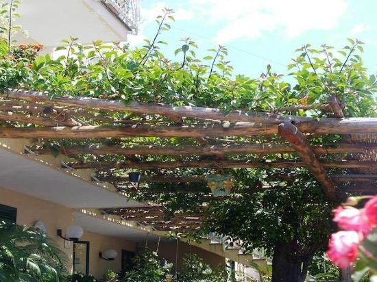 locanda degli agrumi