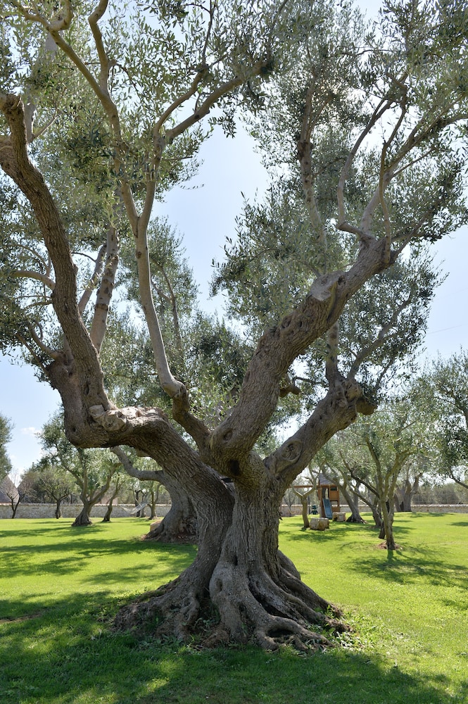 i trulli del nonno michele