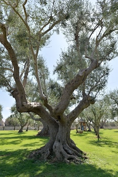 i trulli del nonno michele