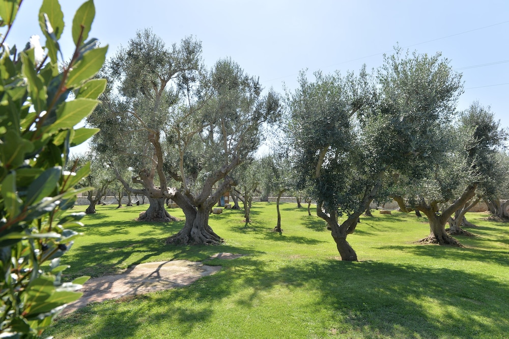 martina franca