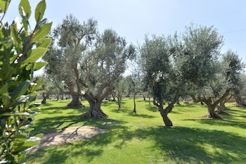 i trulli del nonno michele