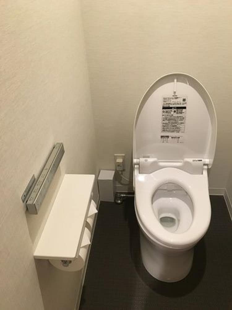 nippon seinenkan hotel