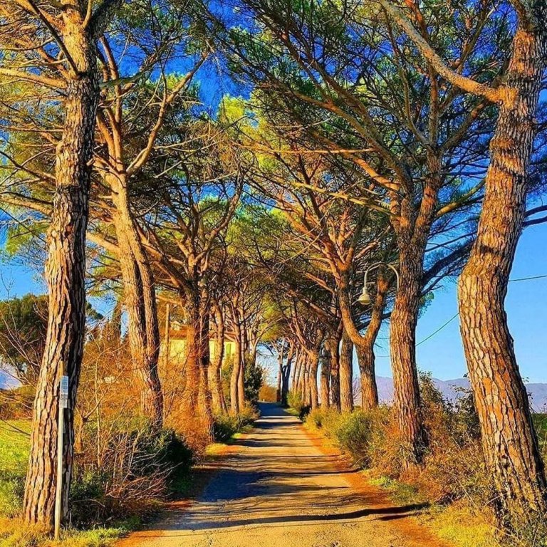 figline e incisa valdarno