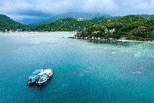 ko tao resort paradise zone