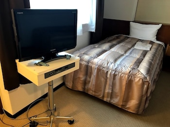 center hotel tokyo