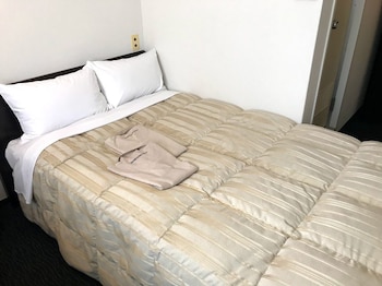 center hotel tokyo