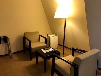 center hotel tokyo