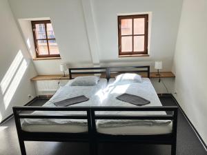 hostel eleven
