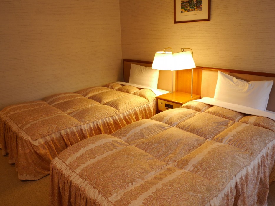 yamanakako asahigaoka onsen hotel seikei