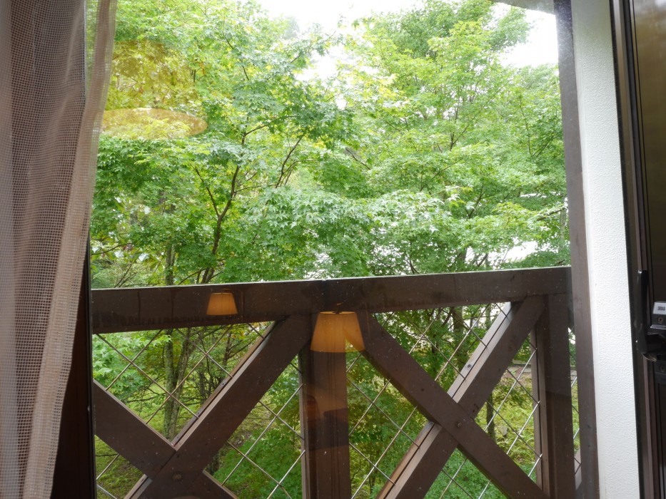 yamanakako asahigaoka onsen hotel seikei