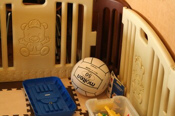 kawaguchiko station inn